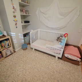 Nursery with white crib, canopy, stuffed animals, shelves, and patterned beige carpet.